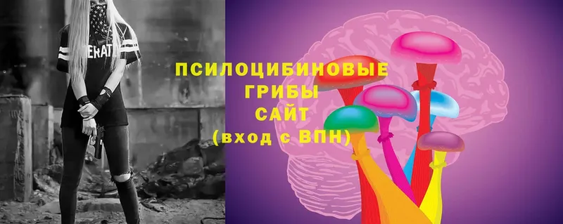 магазин  наркотиков  Высоковск  Галлюциногенные грибы Cubensis 